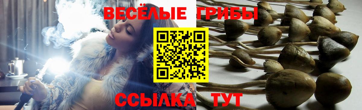 Галлюциногенные грибы мухоморы  наркота  Конаково  Вход с VPN 